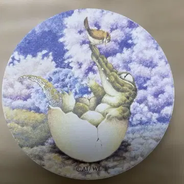 와치필드 흡수 코스터 이반
