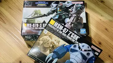 HGUC 구프 커스텀, 즈고크 2세트