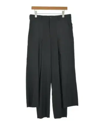 COMME des GARCONS HOMME PLUS 팬츠 (기타) 남성용