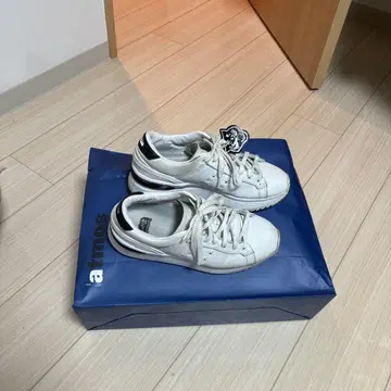 오니츠카타이거 1183A531