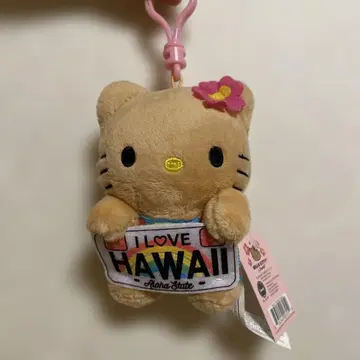 하와이 한정판 일광화상 키티 HAWAII 마스코트