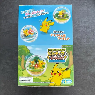 [초레어] 외부 박스 미개봉 포켓몬 테라리움풍 피규어 피카츄와 함께