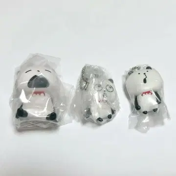 니시무라 유우지 기분 좋은 판다 세트