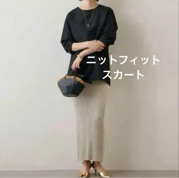 Whim Gazette 니트 핏 스커트