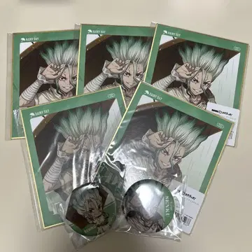 Dr.STONE 레이니데이 이시가미 센쿠 세트
