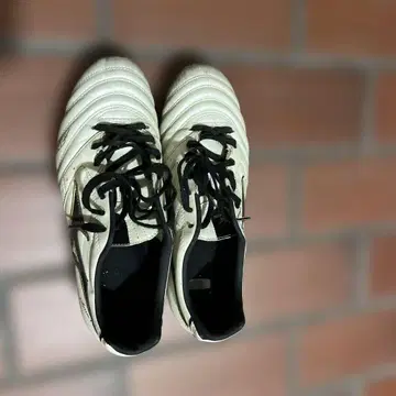 Mizuno 축구화 26cm