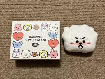 BT21 RJ TODAY'S FACE 페이스 브로치