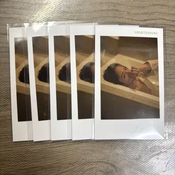 우라타누키 폴라로이드 목욕탕