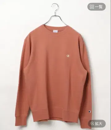 Champion 긴 시즌 착용 가능한 쭈리 소재 자수 맨투맨