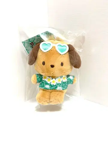 새상품 일광화상 포차코 토코나츠 바케이션 마스코트 키링 키티