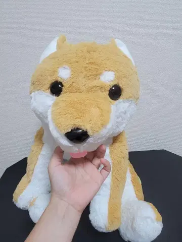 브라운과 화이트의 강아지 봉제 인형