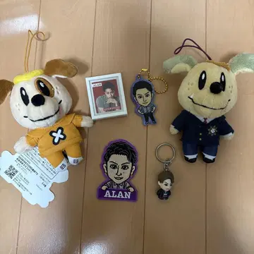 ALAN 봉제 인형 세트 수트/스포츠 웨어