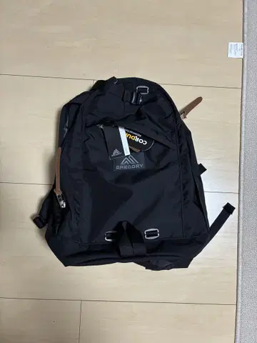 GREGORY 데이팩