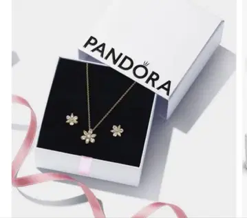 Pandora 귀걸이 목걸이 세트