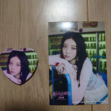 스위츠 파라다이스 아이릿 원희