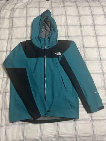 THE NORTH FACE 고어텍스 판파레 그린 L 사이즈