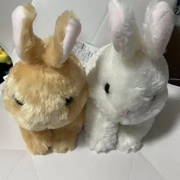 네덜란드 드워프 다이토 한정판 토끼 봉제 인형