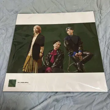 Mr. GREEN APPLE [ 10 ] 혜택 LP 사이즈 사진 포스터
