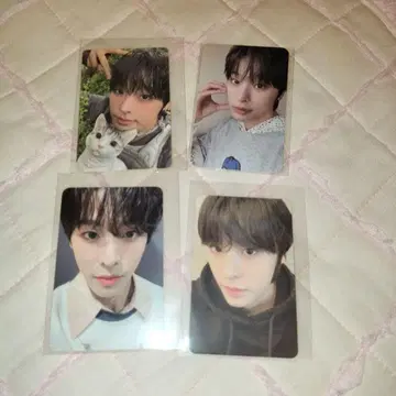 NCT WISH 리쿠 트레이딩 카드