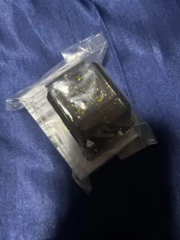고토치 고치조 이시카와