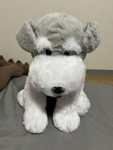 강아지 봉제 인형 그레이와 화이트
