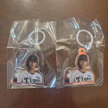 한신 타이거즈 메지루시 오로라 참 코바타 류헤이 선수
