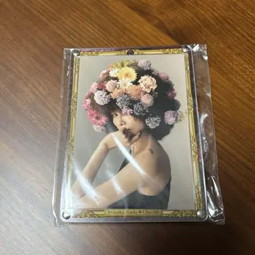 쿠도 시즈카 브로마이드 케이스(핑크) + 브로마이드 1종