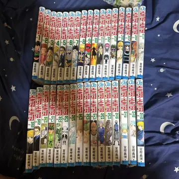 HUNTER x HUNTER 1~33권 세트