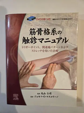 근골격계 촉진 매뉴얼 트리거 포인트, 관련통 패턴 및 스트레치 활용 -