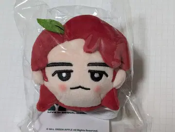 Mrs.GREEN APPLE 서울콘 와카이 히로토