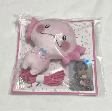 우파고로 패스 케이스