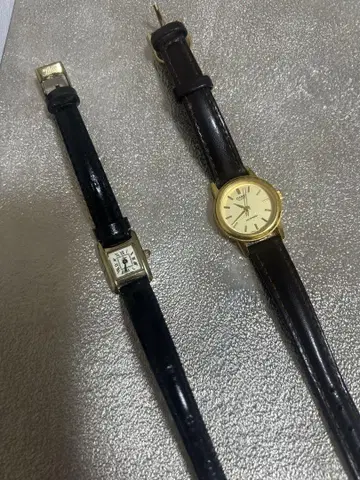 여성용 손목시계 2종 세트 나노 유니버스 CASIO SEIKOIENA