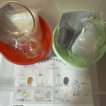 케다마타마 삼색 고양이 하치와레 2종
