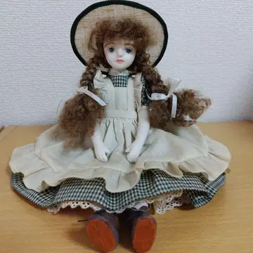 빨간 머리 앤 비스크 인형 와카츠키 마리코 와카츠키 마리코 인형