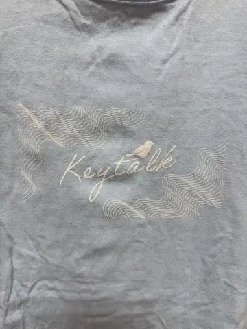 KEYTALK 15주년 기념 투어 티셔츠