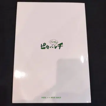 피칸치 하프 팜플렛