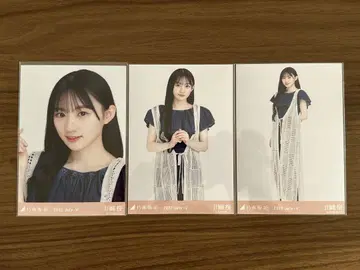 카와사키 사쿠라 노기자카46 브로마이드 메쉬 니트