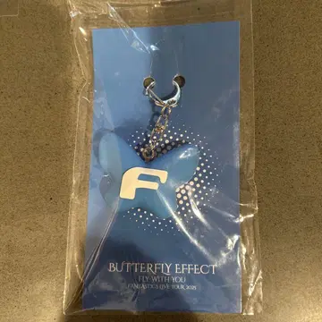 BUTTERFLY EFFECT 키링 2025