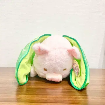 미사용 새상품 숨바꼭질 애니멀 봉제 인형 배추 속 돼지