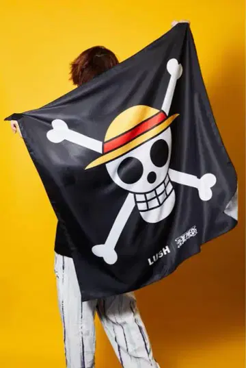 LUSH 한정판 원피스 ONEPIECE 노 랩 미사용
