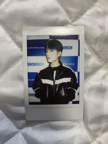 VANNER 송국 폴라로이드