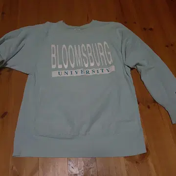Champion Reverse Weave 90s 맨투맨 XL 좋은 배색