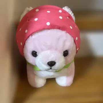 딸기 모자 봉제 인형