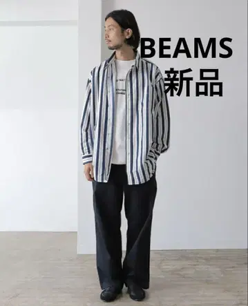 BEAMS LIGHTS 빔즈 수피마 코튼 다트 치노