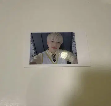 17 팬더 드래곤 파라곤 하피카 폴라로이드 요우타