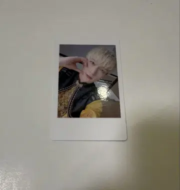 16 팬더드래곤 파라곤 하피카 폴라로이드 요우타
