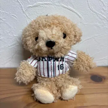 사무라이 재팬 WBC 오타니 쇼헤이 선수 베어