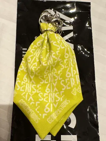 카타요세 료타 반다나 키체인