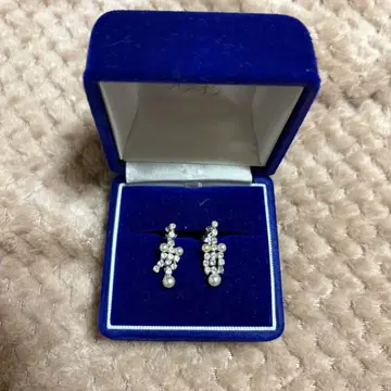 진주 귀찌
