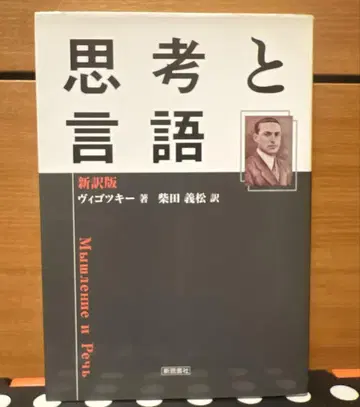 사고와 언어 신역판